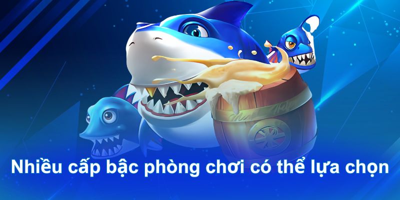 Nhiều cấp bậc phòng chơi có thể lựa chọn